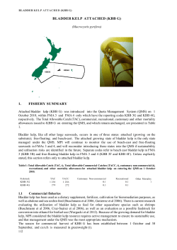 BLADDER KELP ATTACHED (KBB G) 1. FISHERY SUMMARY