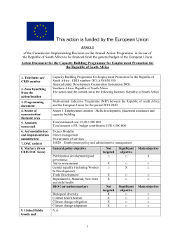 Annex 1  - Preparatory Action Culture in EU External
