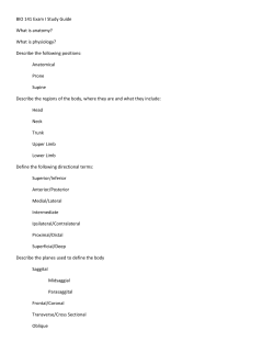 BIO 141 Exam I Study Guide What is anatomy? What is physiology