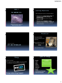 Topic 7 The Working Cell