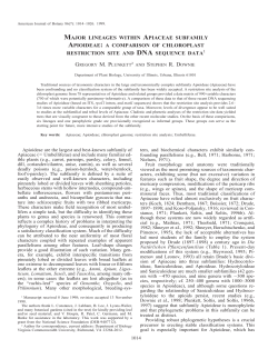 major lineages within apiaceae subfamily apioideae