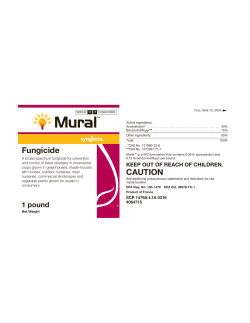 4064715-PE AGI 359537-Mural