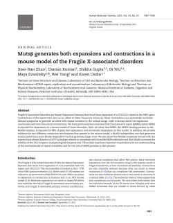 Muts&beta; generates both expansions and contractions in a mouse