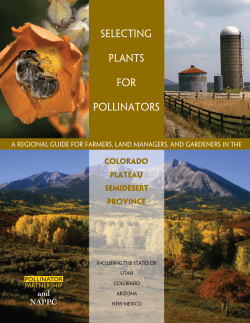 Selecting Plants for Pollinators