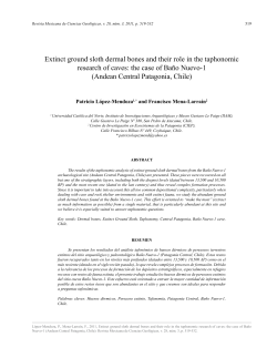 Extinct ground sloth dermal bones and their role in the taphonomic