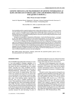 genetic distance and transmission of genetic information at rapd and