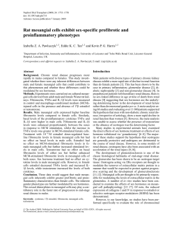 Rat mesangial cells exhibit sex-specific