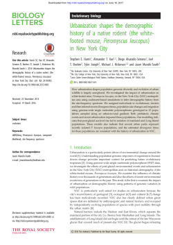 the white- footed mouse, Peromyscus leucopus