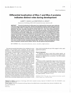 Differential localization of Mox-1 and Mox