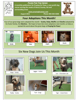Six New Dogs Join Us This Month