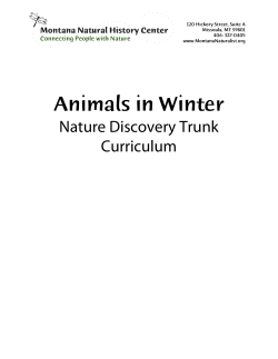Animals in Winter - Montana Natural History Center