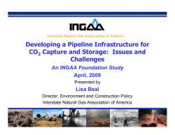 Developing a Pipeline Infrastructure for CO Capture and Storage