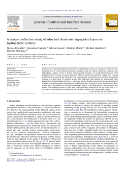A neutron reflection study of adsorbed deuterated myoglobin layers