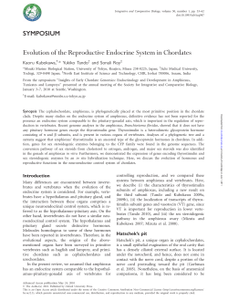 Evolution of the Reproductive Endocrine System in Chordates