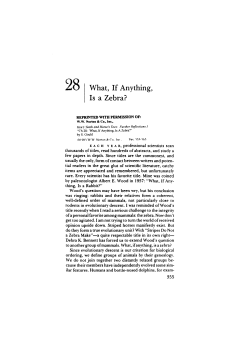 28 What, If Anything, Is a Zebra?