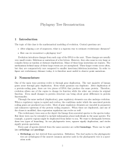 Phylogeny Tree Reconstruction