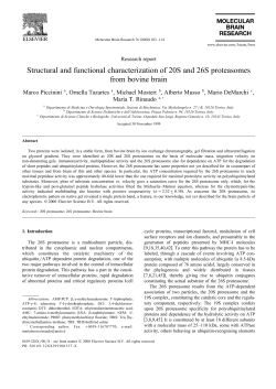 Structural and functional characterization of 20S and 26S