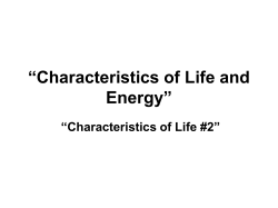 Characteristics of Life and Energy