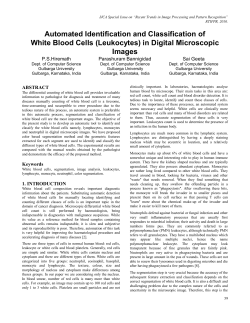Automated Identification and Classification of White Blood Cells
