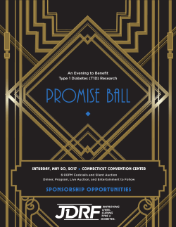 2017 Promise Ball Sponsorship Package and Form