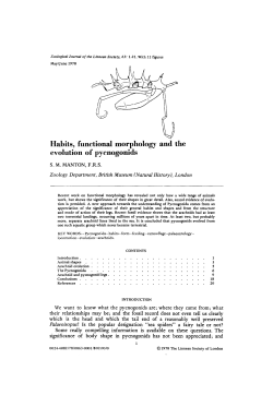 Habits, functional morphology and the evolution