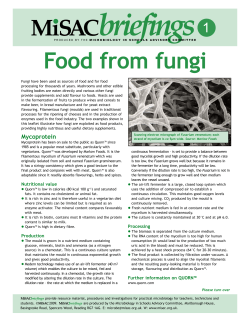 Food from fungi