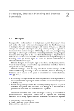 Strategies, Strategic Planning and Success Potentials