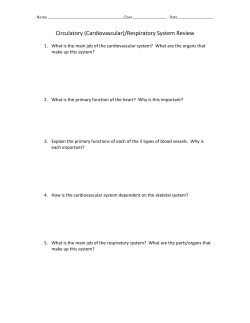 Circulatory (Cardiovascular)/Respiratory System Review