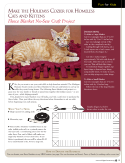 Fleece Blanket No-Sew Craft Project