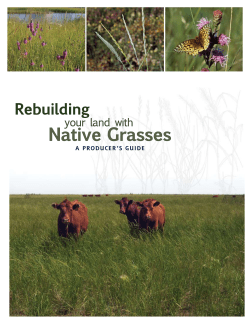 Re-building your Land with Native Grasses