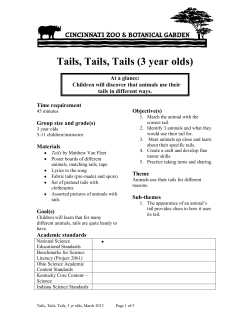 Tails, Tails, Tails (3 year olds)