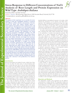 Stress Response to Different Concentrations of NaCl: Analysis of