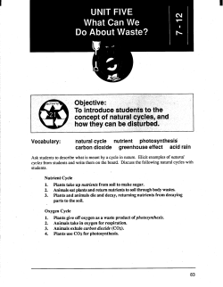 Let`s Reduce and Recycle: