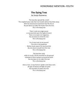 HONORABLE MENTION--YOUTH The Dying Tree