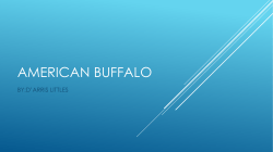 AMERICAN BUFFALO