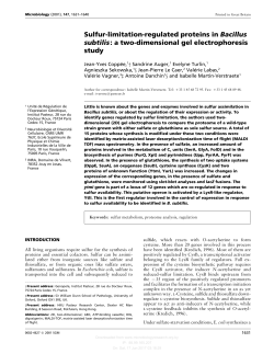 Sulfur-limitation-regulated proteins in Bacillus subtilis