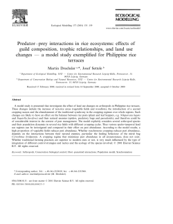 Predator&ndash;prey interactions in rice ecosystems: effects of guild