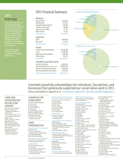 Overview 2013 Financial Summary