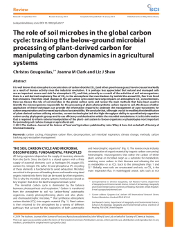 The role of soil microbes in the global carbon cycle