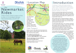 The Newmarket Rides