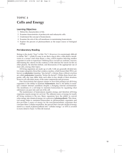 Topic 2 - Cells and Energy