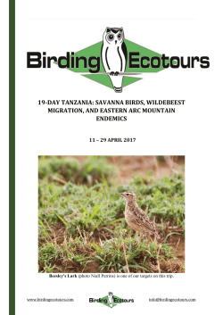 19-DAY TANZANIA: SAVANNA BIRDS, WILDEBEEST MIGRATION