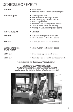 Midsummer`s Eve of the Arts Auction Programme.