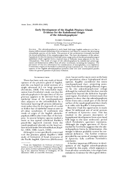 Early Development of the Hagfish Pituitary Gland: Evidence for the