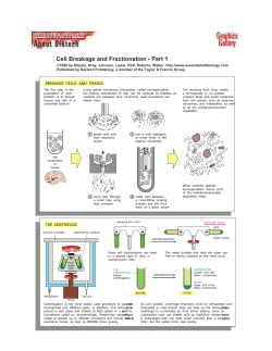 Cell Breakage and Fractionation - Part 1