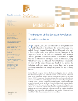 The Paradox of the Egyptian Revolution