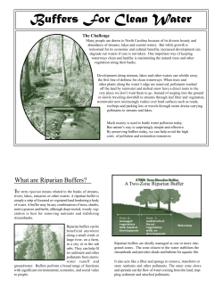 PM Raparian 2 Brochure