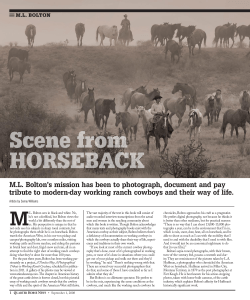 Scene from HorSeback