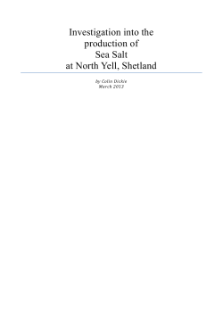 NYDC Sea Salt Feasibility Report