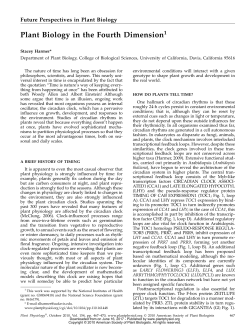 Plant Biology in the Fourth Dimension1